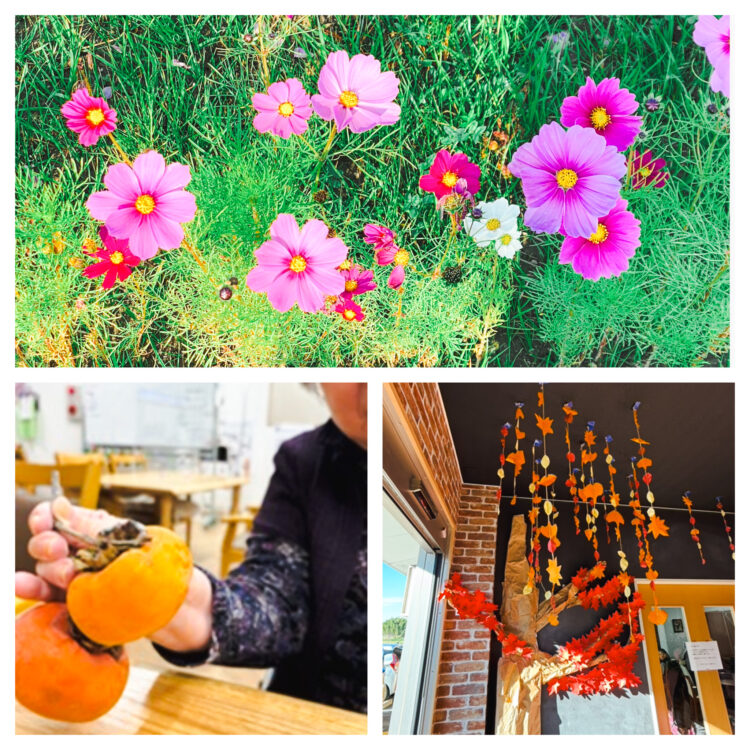 11月のベストショット