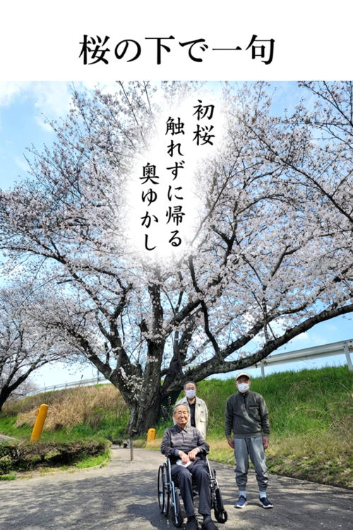 もうすでに満開に近づいています